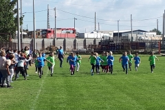 IMG-0667918424f008c9dc31529a17782850-V