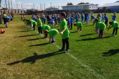 IMG-abfb026d4b7bcc1ed909acc0f93c748c-V