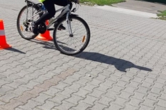 71772230_2342742525942418_5565364943655534592_o