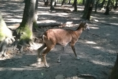 WP_20191004_10_25_55_Pro