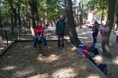 WP_20191004_11_22_04_Pro