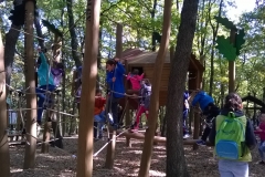 WP_20191004_11_22_28_Pro