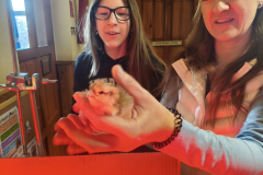 MVIMG_20260325_073125
