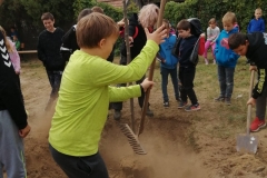 faültetés4
