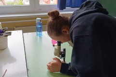 mikroszkop1