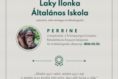 Perinne